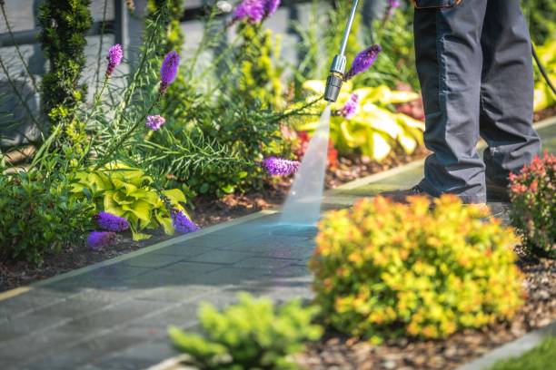 Best Patio and Deck Pressure Washing  in Ogdensburg, NY