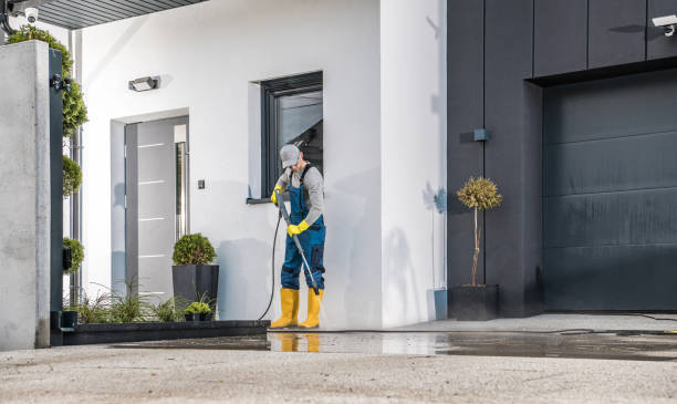 Best Solar Panel Cleaning  in Ogdensburg, NY
